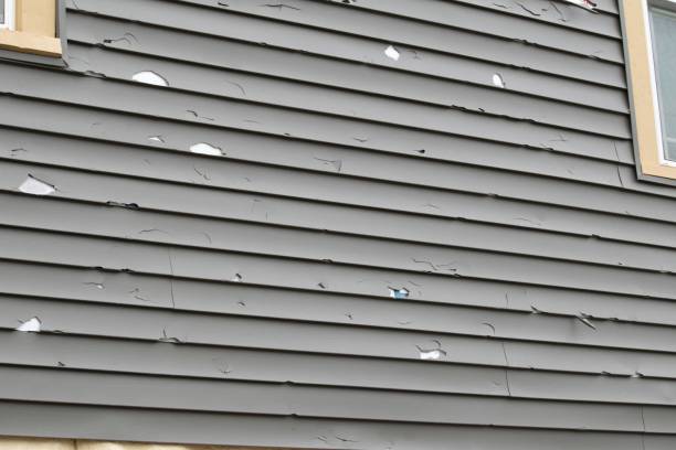 Affordable siding repair and maintenance services in Richmond Heights, MO